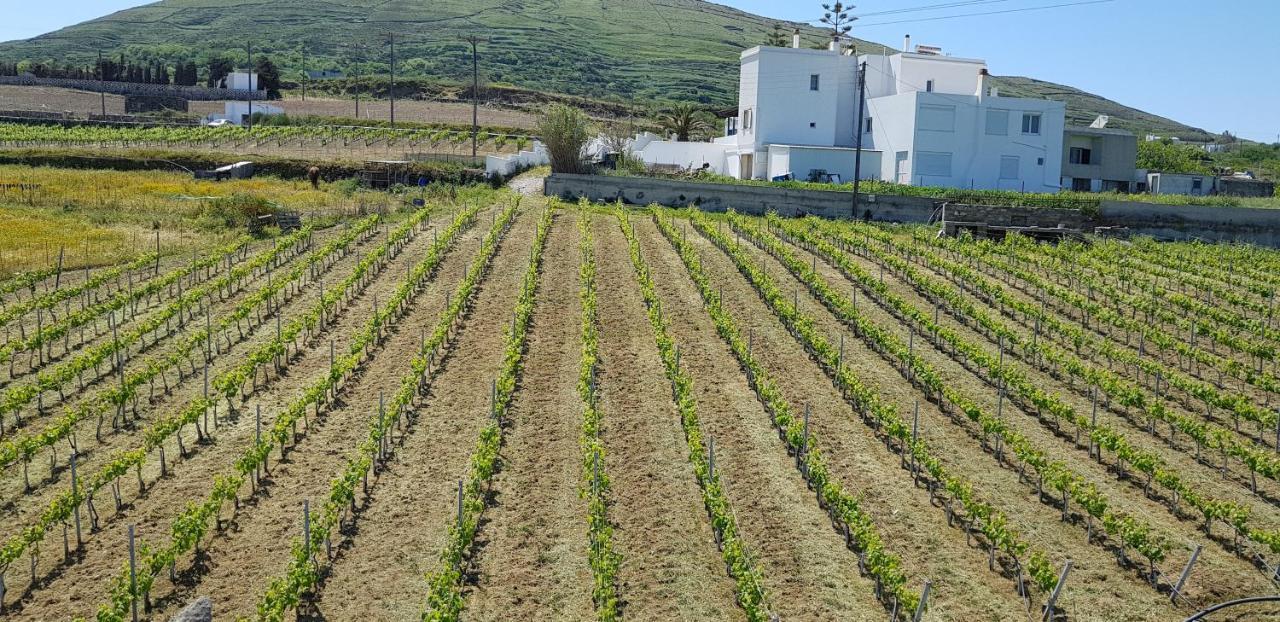 Stení Villa Arokaria מראה חיצוני תמונה
