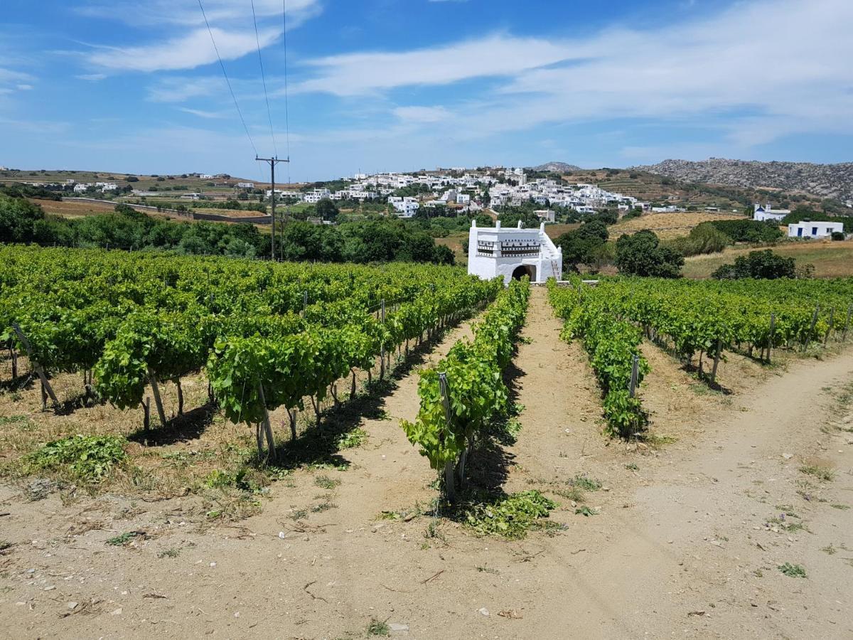 Stení Villa Arokaria מראה חיצוני תמונה