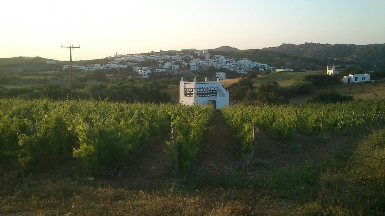 Stení Villa Arokaria מראה חיצוני תמונה